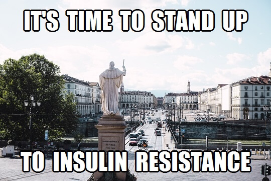 reverse insulin resistance