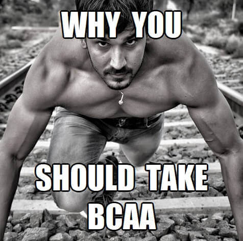5 Good Reasons To Obsess Over Your BCAAs
